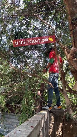 #รังวัดที่ดิน #ฝ่ายรังวัดกรมที่ดิน #ช่างรังวัดหลวง #กรมที่ดิน