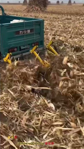 Extra tool of truck plowing grass corn - Work after harvest