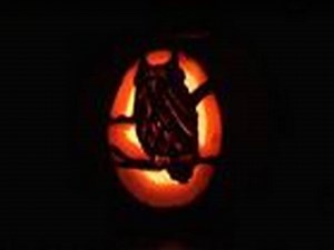 How To Carve An Owl Pumpkin Lantern