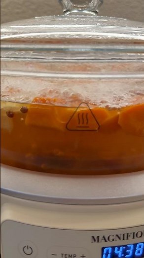 Slow-Cooked Bone Broth— Mode to Mode Series with Magnifique Combo Air Fryer