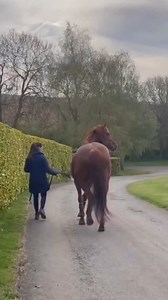 18K views · 6.6K reactions | Then vs now. Oh how different this...