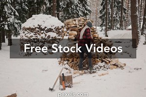 Cut Scene Videos, Download The BEST Free 4k Stock Video Footage & Cut Scene HD Video Clips
