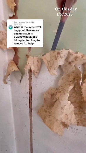 Effective Woodchip Wallpaper Removal Methods