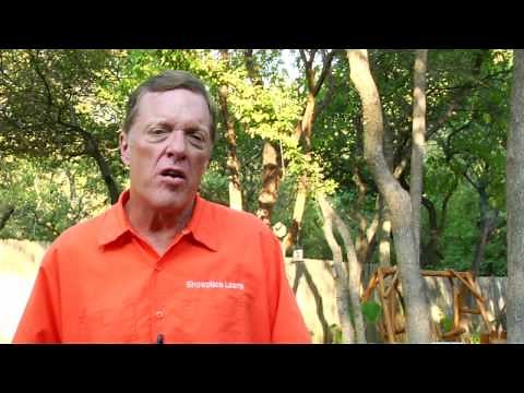 Gardening Tips : How to Grow Oleander