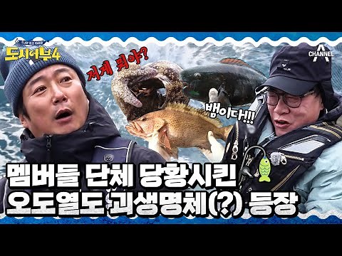 해외는 역시 어종부터 다르네?♨ 난생 처음보는 고기 등장에 오도열도 수족관 ★OPEN★ | 도시어부4 30 회