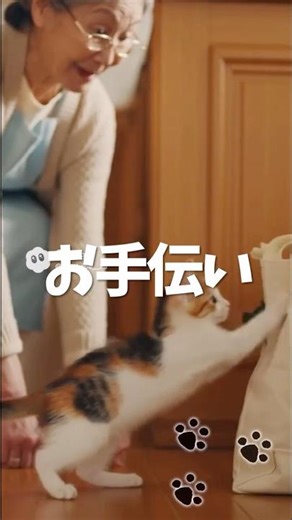 三毛猫のお手伝い #shorts #ねこ #猫のいる暮らし #ドラマ #三毛猫