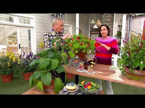 Cottage Farms 4-Piece Spicy Herb Garden Live Plants on QVC