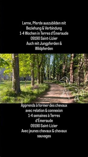 #pferdetraining #Chevaux #pferde #beziehungpferdmensch #somaticexperiencing