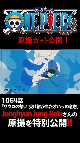 アニメ「#ONEPIECE」見放題配信への追加は木曜日‼️1164話‼️ #onepiece #原撮
