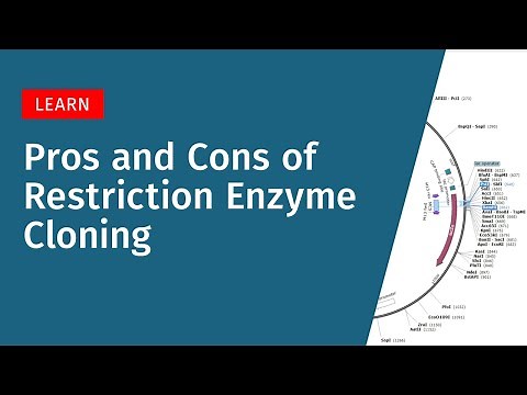 Restriction Enzyme Cloning: Pros, Cons, and When It's the Right Choice