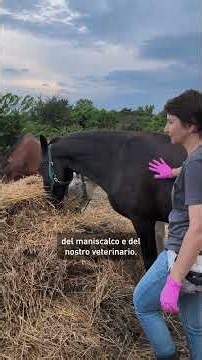 La nostra nuova area equini