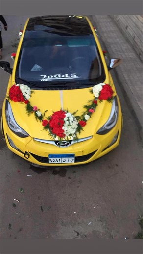 Mohamed El-Naggar on Reels