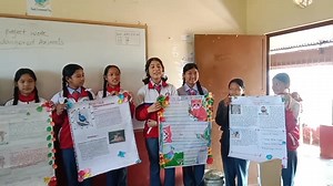 Grade 6 - B students presenting their English project work on the topic : #endangeredanimals | Siddhartha Academy Secondary Boarding School