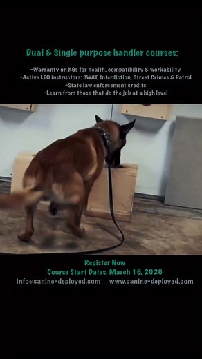102 reactions | For your next K9 and handler course register at www.canine-deploy.com Email: info@canine-deployed.com for more information | Canine Deployed | Facebook