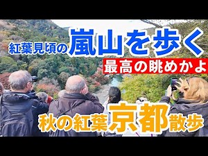 11月22日紅葉シーズンの美しい嵐山をゆっくりと一周 kyoto japan walk arashiyama 4k 渡月橋/展望台/竹林の小径/メインストリート