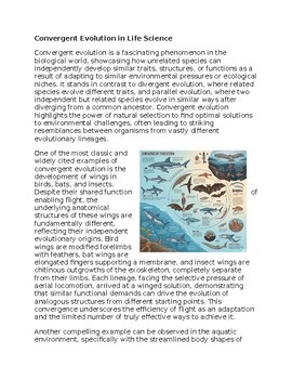 Convergent Evolution Worksheet for Sub-Plan or Classwork & Homework