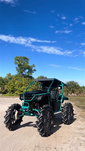 Mango Song with Catchy Lyrics