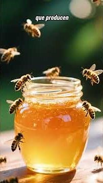 La abeja melífera
