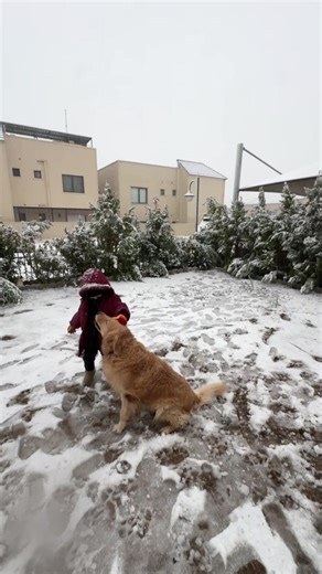 Creative Ways to Build a Snowman This Winter