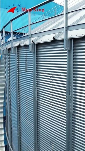 ManXing Feed Silo Project Nears Completion | Durable Grain Storage Solution