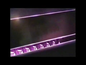 Fox Movie Channel ID (Action) (2000)