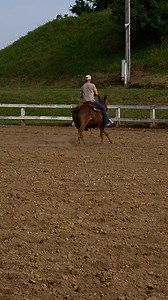 3.1M views · 102K reactions | I'm just saying... 路‍♂️✌️ #luckyahorsemanship #coltstarter #horsetrainer #mules #mulesoftiktok #mulepower #mulepacker #mulemanship #horse #goforit #dreambig #itsallornothing | Lucky A Horsemanship | Facebook