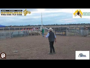 WKC National Kelpie Field Trial & Enduro Australian Yard Dog Championships