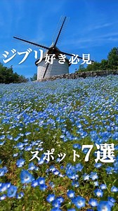 旅メモ on Instagram: "ジブリ好き必見👀のスポット7選を紹介するよ🌳 1.📍出羽島 〒775-0013 徳島算海部郡牟岐町牟仮浦出羽島2-1 2. 📍阿南市新野町 〒779-1510 徳島県阿南市新野町長里付近 3.📍あすたむらんど（風車の圧） 〒779-0111徳島県板野郡板野町那東キビガ谷 4. 📍井田神社大楠 〒779-3405 徳島県吉野川市山川町井上 5.📍 ゆうかの里 〒771-3203 徳島県名西郡神山町鬼籠野字一の坂 6📍童学寺 〒779-3232 徳島県名西郡石井町石井城ノ内 7.📍江田の菜の花 〒771-3422 徳島県名西郡神山町上分江田746 リール掲載にご協力いただき有難うございました。 @tokushima0129 *コロナの影響で情報が変わっている可能性があります。 ご注意ください🙇‍♂️ @tabi.memo では紹介させていただく観光スポットを大募集！ #旅メモ のハッシュタグ、タグ付けしてくれたら、 あなたの一押し観光スポットを掲載させていただきます！ 海外の旅行アカウントはコチラ！