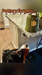 Pottery for pets and the people who love them 💕💕💕#handmadepottery #etsyseller #etsyshop #womanownedbusiness #ceramics #pottery #womeninceramics #madeinusa #potteryforpets #dogsofinstagram #potterywheel #wheelthrown #potteryforall | Fatty Frog Pots- Handmade Pottery