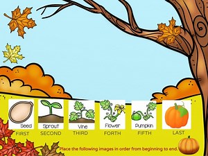 The Life Cycle of a Pumpkin