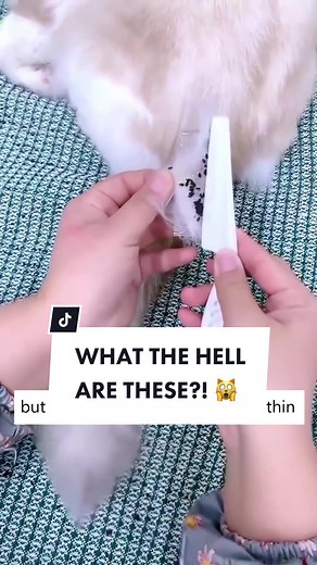 Remove Fleas & Hair From Cats with Cuddles of Meow Flea Comb