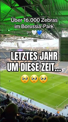 Aufstieg aus Regio West in Liga 3 🥹🦓🤍💙 #msv #msvduisburg #viral #fan