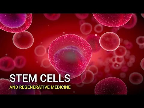 Stem Cells and Regenerative Medicine