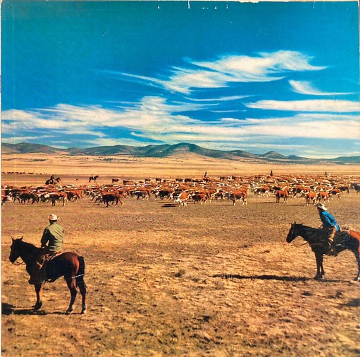 The Norman Luboff Choir - Songs Of The West