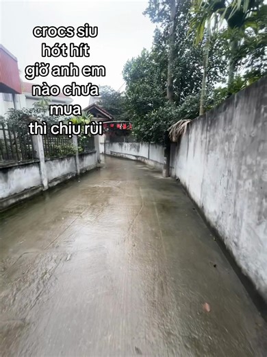 #croc #xhhhhhhhhhhhhhhhhhhhhhhh