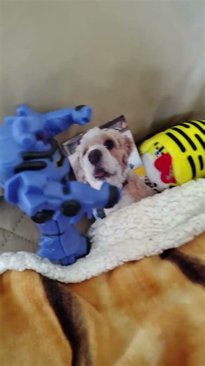 Leon the dog death scene😭😢