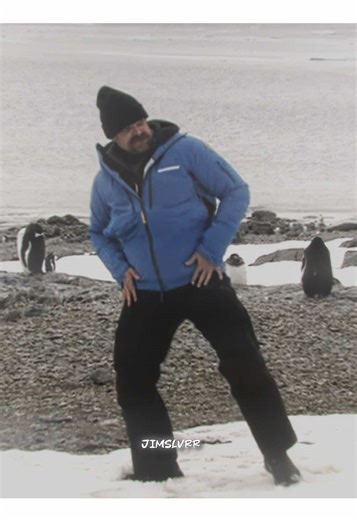 stateside x David dancing with penguins is all I need in life 🕺🏻 || BTW I made an edit audio account go check it out! ;) @macstimz || #davidharbour#davidharbouredit#jimhopper#fyp#foryoupage