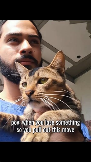 deathnote Season 2 |Equal To SD|