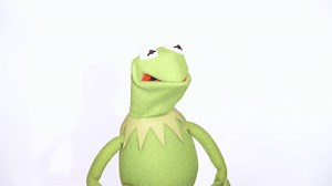 37K views · 1.5K reactions | I've finally seen the light! …A little too much of it. Good grief!  | Kermit the Frog | Facebook