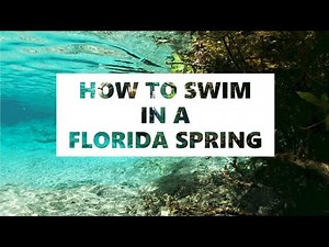 How to Swim in a Florida Spring