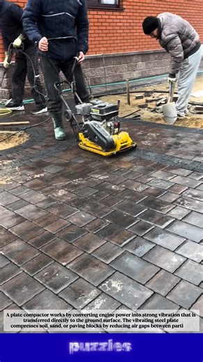 This Plate Compactor Makes Paving Blocks Rock Solid!