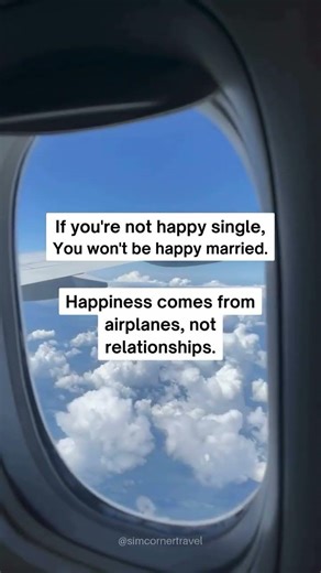 And what if you find your relationship on the plane 💙✈️#TravelAndLove #SimCorner #InspiringTrav