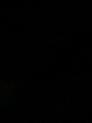 tibbler (@tiny.tibble)’s videos with original sound - tibbler