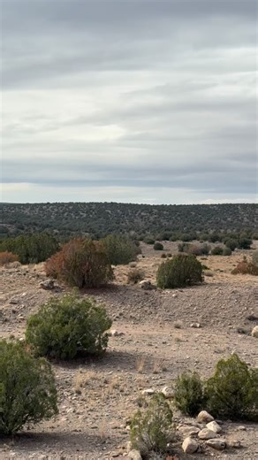 79 reactions · 6 comments | #vanlife #vanlife4x4 #4x4vanlife #vanlifestyle #vanconversion #4x4vanconversion #vanlifebuild #vans #vanbuild #vanliving #fordvans #fordvanconversion #4x4vans #fordvan4x4 #ajs4x4vans #4x4vanlife #4x4vanbuild #4x4vanlifer #nomad #nomads #nomadlife #nomadsculpt #nomadlifestyle #nomadiclifestyle #nomadic #boondocking #boondockinglife #boondocker #Ajs4x4vans #désert #desertlove | Tdinger Travels Todd Mundinger | Facebook