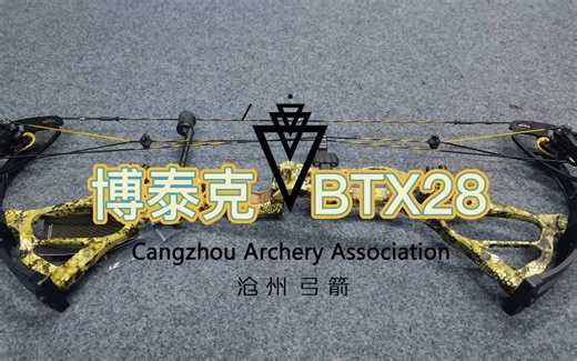 博泰克BTX28开箱视频