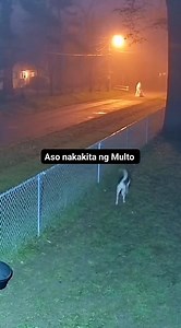 Aso nakakita ng Multo 😱 | Aman Vlogs