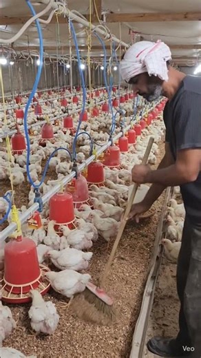 raj aryan poultry interigation. #comedy #funny #cute #viralvideo #viral #music #music #song