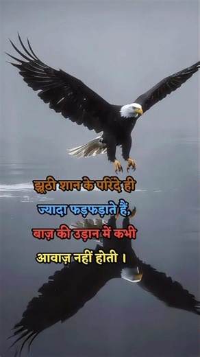 ✌🏻Motivational quotes for success #bulun #motivation #motivationalquotes #attitude