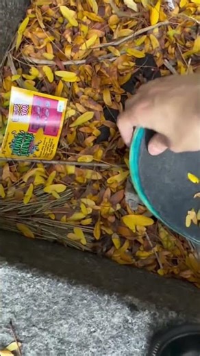 How to get free money