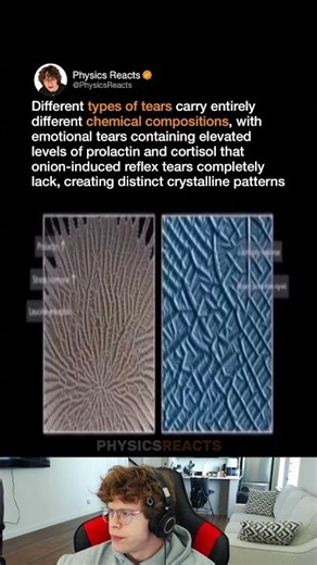 The chemical compositions of different kinds of tears…